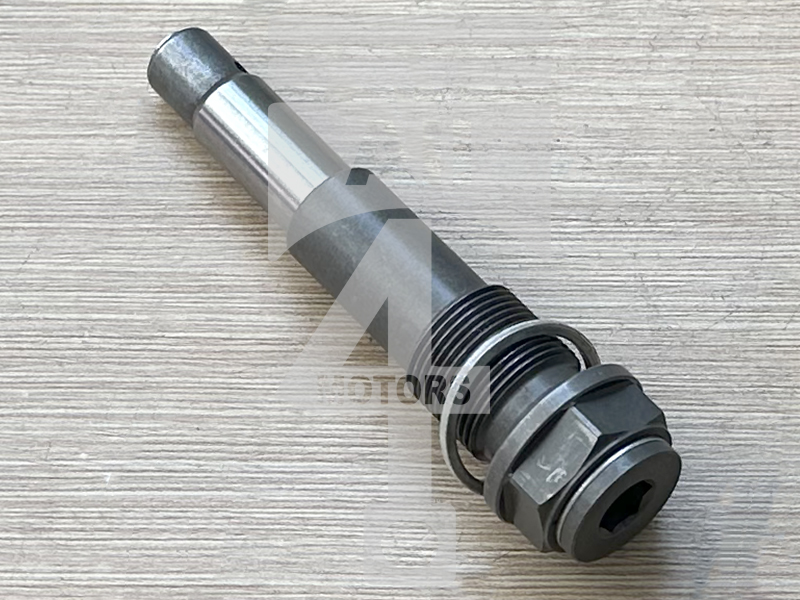 Timing chain tensioner ECT2501 for gasoline engine 6.0L M120 E60 for Mercedes / Smart