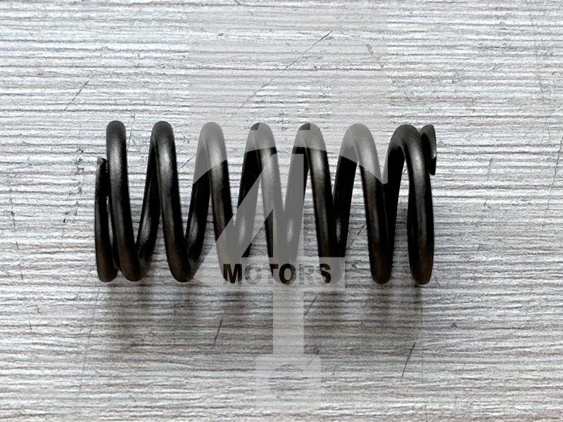 Valve Spring EPV1316 for diesel engine 3.0L EA896 for VAG