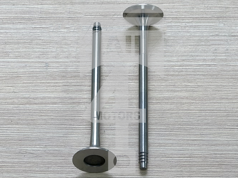 Valve (exhaust) EVE0102 for gasoline engine 2.5L N52B25 for BMW / Mini