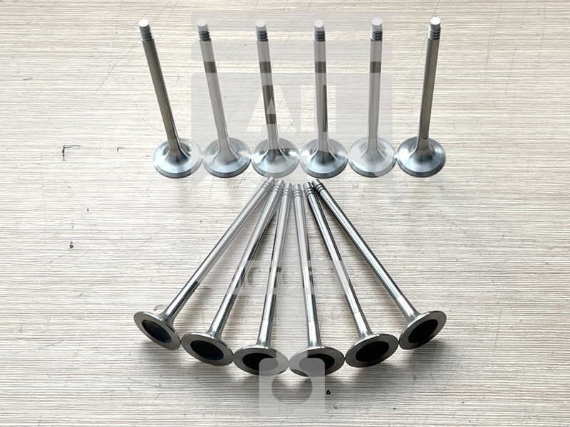 Valve (exhaust) EVE0105 for gasoline engine 3.0L N55B30 for BMW / Mini