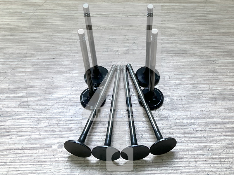 Valve (exhaust) EVE0406 for gasoline engine 1.6L Ecoboost for Ford