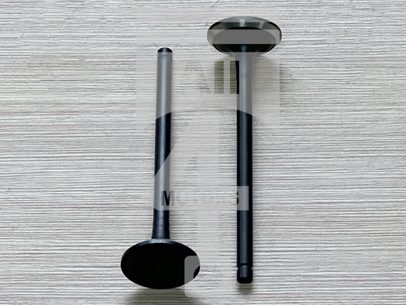 Valve (exhaust) EVE0706 for gasoline engine 1.6L G4FD for Hyundai / Kia