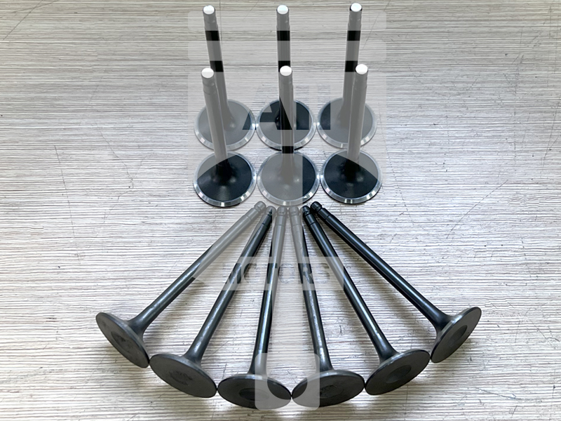 Valve (exhaust) EVE1003 for gasoline engine 3.5L VQ35DE for Nissan / Infiniti