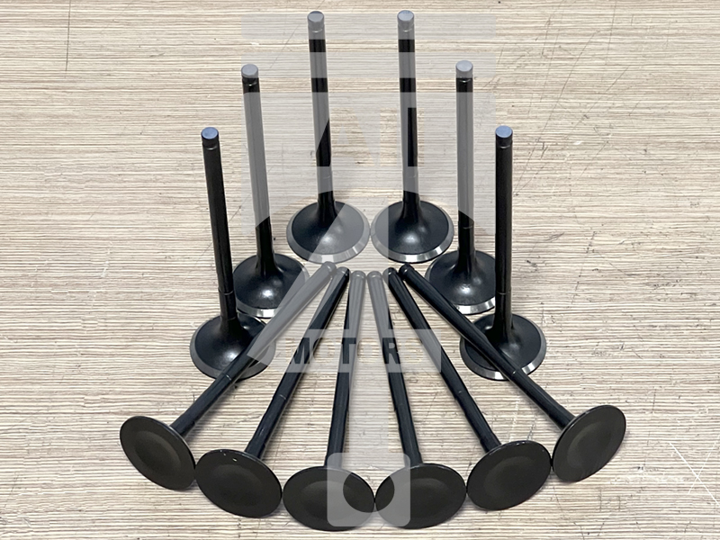 Valve (exhaust)  EVE1206 for gasoline engine 4.0L 1GR-FE for Toyota / Lexus