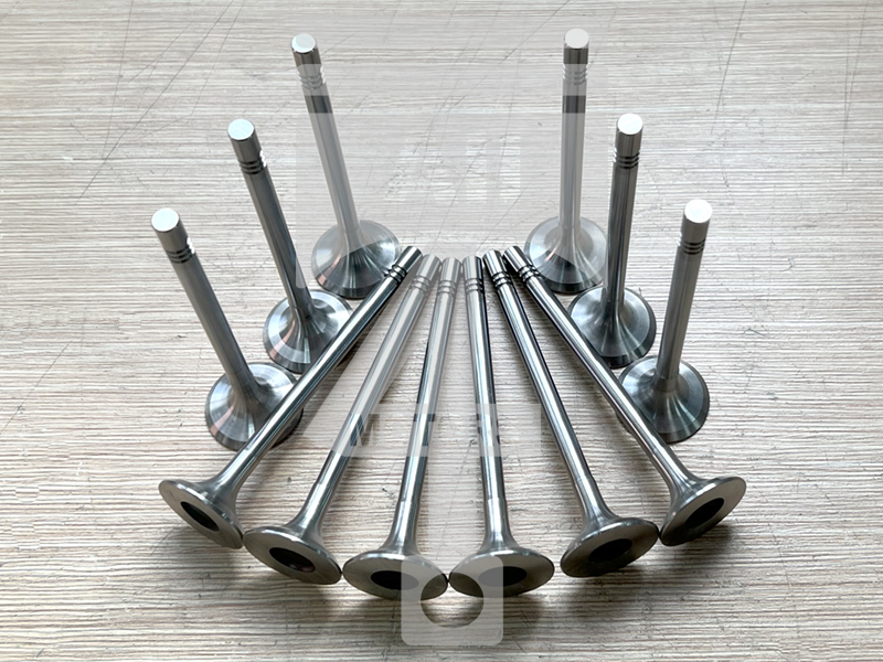 Valve (exhaust) EVE1314 for diesel engine 2.7L EA896 for VAG