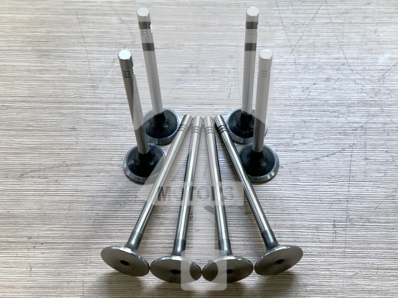 Valve (exhaust) EVE1320 for diesel engine 2.0L EA288 for VAG