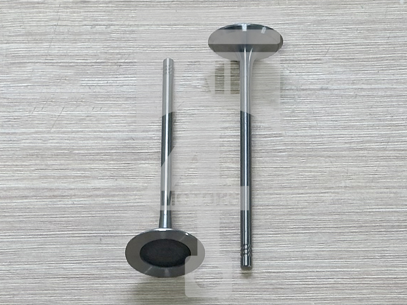 Valve (intake) EVI0102 for gasoline engine 2.5L N52B25 for BMW / Mini