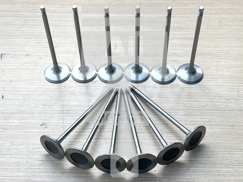 Valve (intake) EVI0105 for gasoline engine 3.0L N55B30 for BMW / Mini