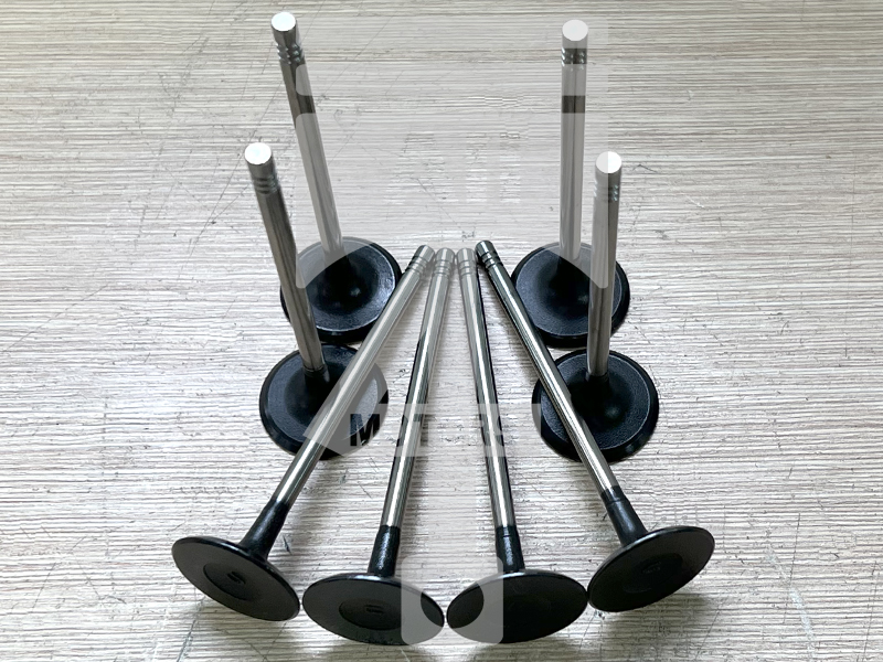 Valve (intake) EVI0406 for gasoline engine 1.6L Ecoboost for Ford