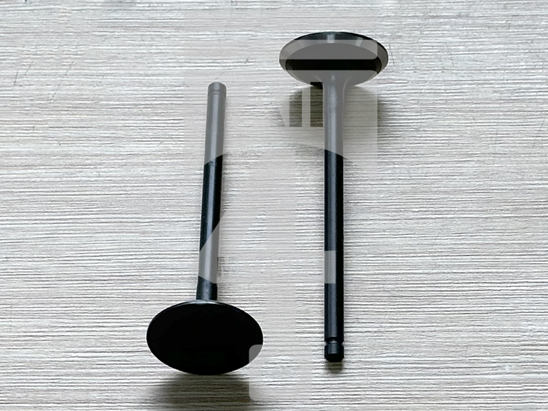 Valve (intake) EVI0706 for gasoline engine 1.6L G4FD for Hyundai / Kia