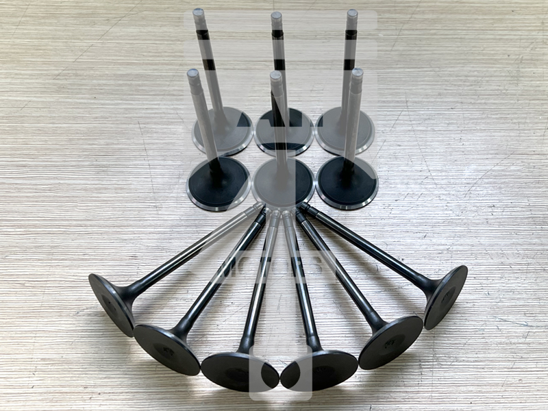 Valve (intake) EVI1003 for gasoline engine 3.5L VQ35DE for Nissan / Infiniti