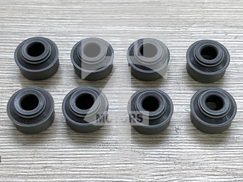 Valve seal EVS0501 for gasoline engine 1.6L A16LEL / LNG for Opel